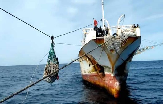 Es ley en Argentina el acuerdo que refuerza el control portuario contra la pesca ilegal