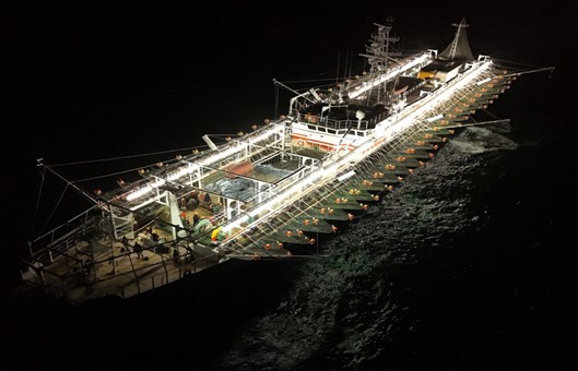 Chile se convierte en el sostén logístico de la flota china del calamar